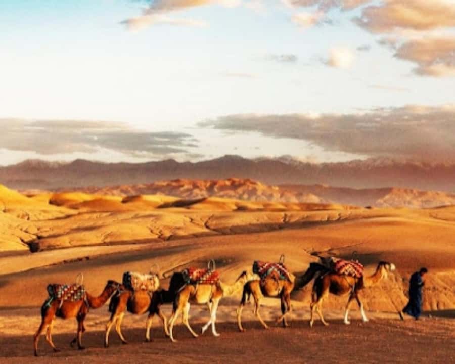 Marrakech: Agafay Desert Camel Rides, Dinner and Fire Show - Quad Biking Through Agafay, The Adrenaline Portion