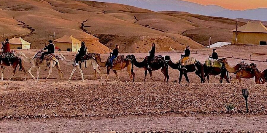 Marrakech: Agafay Desert Camel Rides, Dinner and Fire Show - Dinner Under the Stars, Berber Music, Fire Dancers