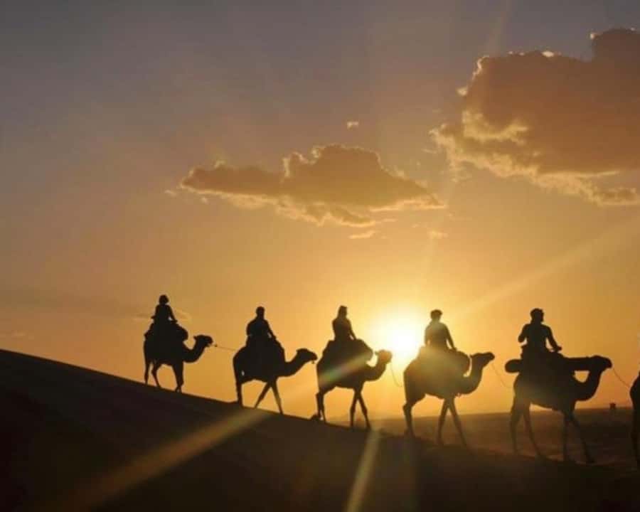 Marrakech: Agafay Desert Camel Rides, Dinner and Fire Show - Guides and Drivers, Who You Might Meet and Why They Matter