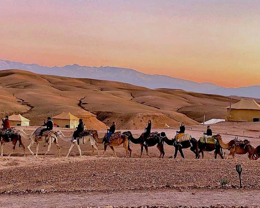 Marrakech: Agafay Desert Camel Rides, Dinner and Fire Show - Price and Logistics, What $33 Really Buys You