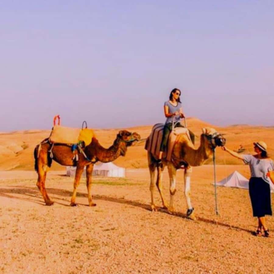 Marrakech: Agafay Desert Camp Lunch with Camel Ride and Pool - Quad Biking and Other Optional Extras: How to Decide Without Overdoing It