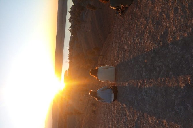 Marrakech: Agafay Desert Dinner, Camel Ride & Quad Biking. - Price and value: what you get for about $19.77
