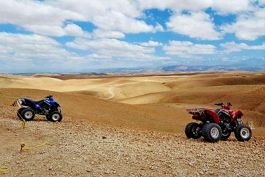 Marrakech: Agafay Desert Dinner Show with Quad Bike & Camel - Dinner Under the Stars: Moroccan Food Plus Berber Show