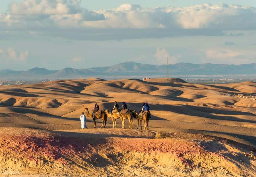 Marrakech: Agafay Desert Dinner Show with Quad Bike & Camel - Price and Value at About $22: What You Truly Get