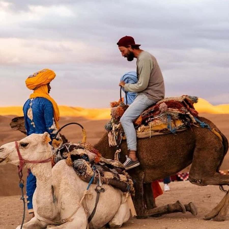 Marrakech: Agafay Desert Dinner Show with Sunset Camel Ride - From Marrakech pickup to the calm of Agafay