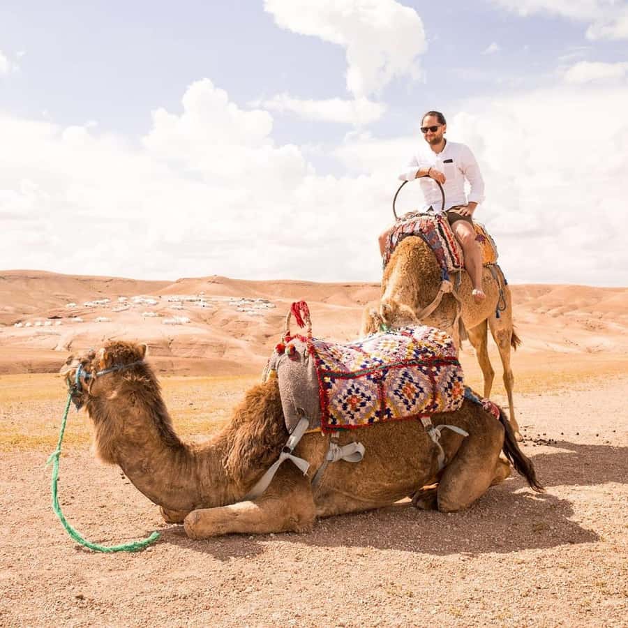 Marrakech: Agafay Desert Dinner with Music and Fire Show - From Marrakech Pickup to Agafay Sunset Views