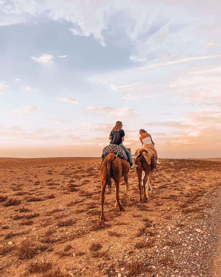 Marrakech: Agafay Desert Escape with Quad or Camel Ride - How big is the group and what that means for your experience
