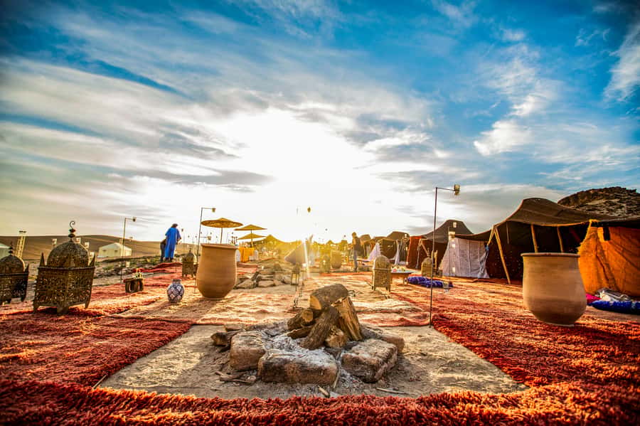 Marrakech: Agafay Desert Escape with Quad or Camel Ride - Value check: is $29 a good deal for a quad or camel night with dinner?