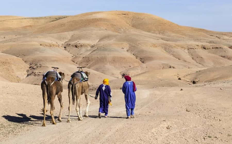 Marrakech: Agafay Desert, Lunch, Camel Ride, & Swimming Pool - Timing, Group Size, and Why the Day Feels Smooth (When It Does)