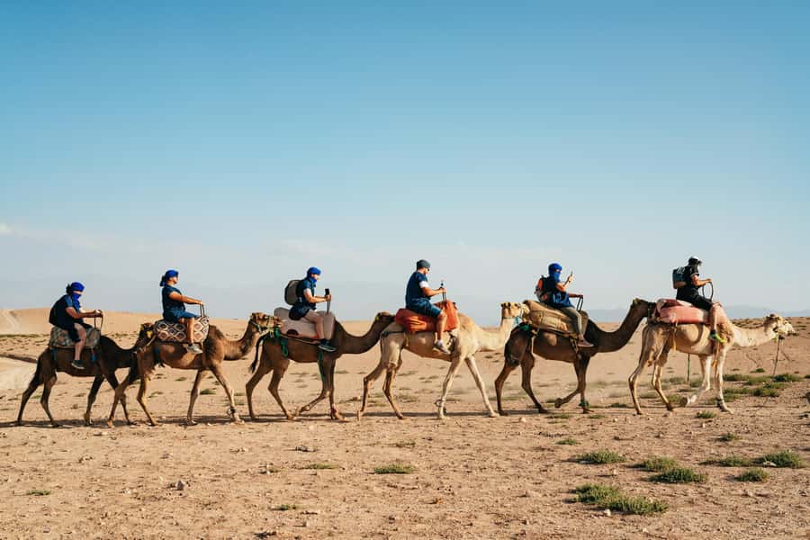 Marrakech: Agafay Desert Pool, Dinner & Live Show Experience - Who This Agafay Desert Night Best Fits