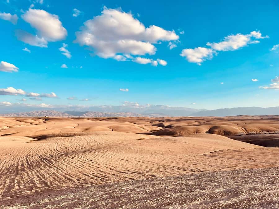 Marrakech: Agafay Desert Quad Bike Tour with Moroccan Tea - Quad Gear and the Safety Brief That Actually Helps