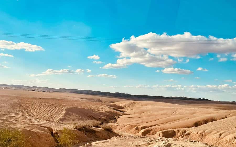 Marrakech: Agafay Desert Quad Bike Tour with Moroccan Tea - Who This Tour Suits Best, and Who Should Skip It