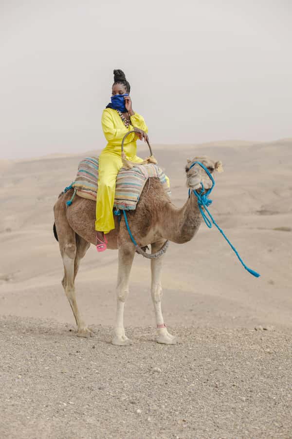 Marrakech: Agafay Desert Quad Bike with Camels & Dinner Show - Atlas Mountains and sunset colors: your best moment for photos and calm