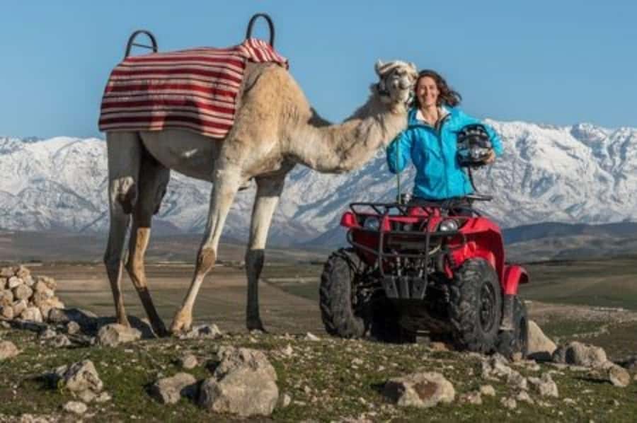 Marrakech: Agafay Desert Quad Biking with Dinner & Show - Quick hits before you go