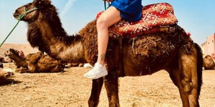 Marrakech: Agafay Desert Quad Biking with Dinner & Show - What to bring (and what to skip) so you’re comfortable