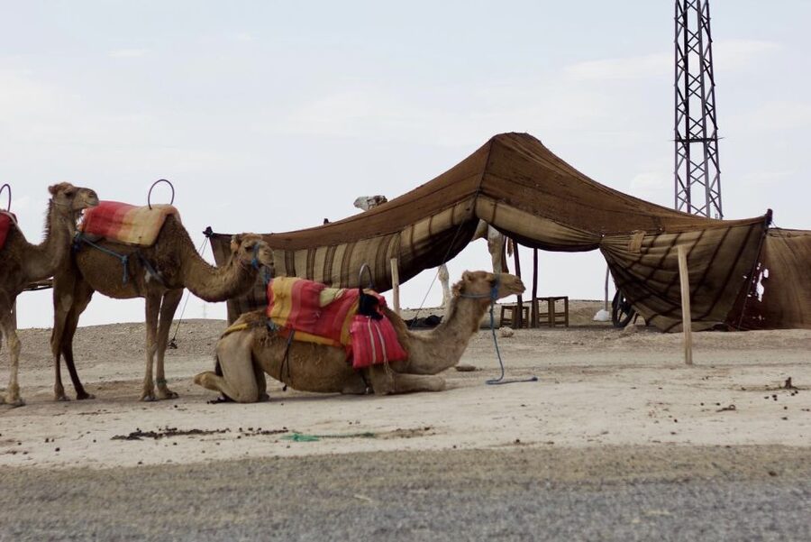Marrakech: Agafay Desert Quad, Camel or Pool Day with Lunch - The Pool Break That Turns the Heat Into Enjoyment