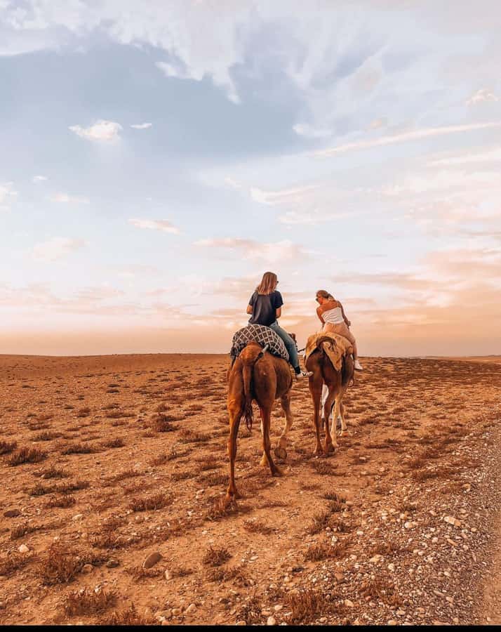 Marrakech: Agafay Desert Quad, Camel Ride & Dinner Show - Who should book this Agafay quad and camel experience