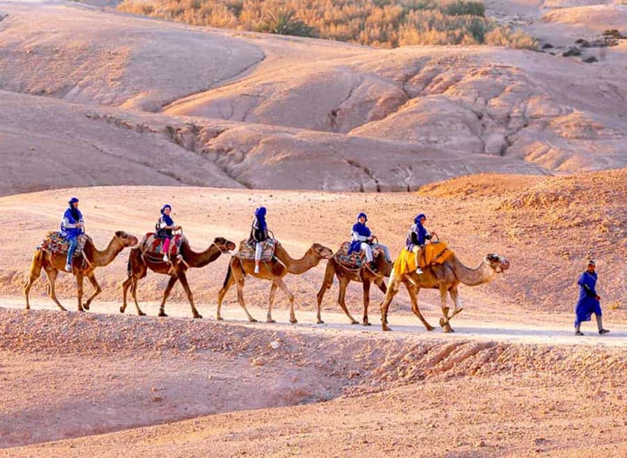 Marrakech: Agafay Desert Quad & Camel Rides with Dinner Show - Key highlights to look forward to