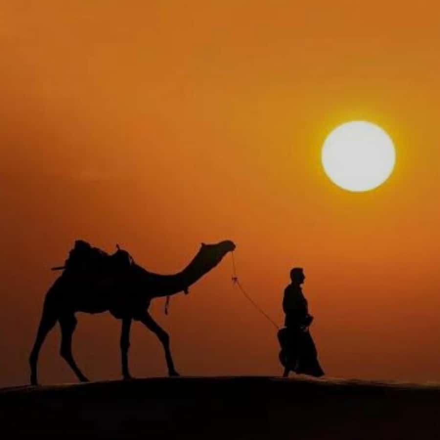 Marrakech: Agafay Desert Quad & Camel Rides with Dinner Show - Why Agafay Desert is worth your time outside Marrakech