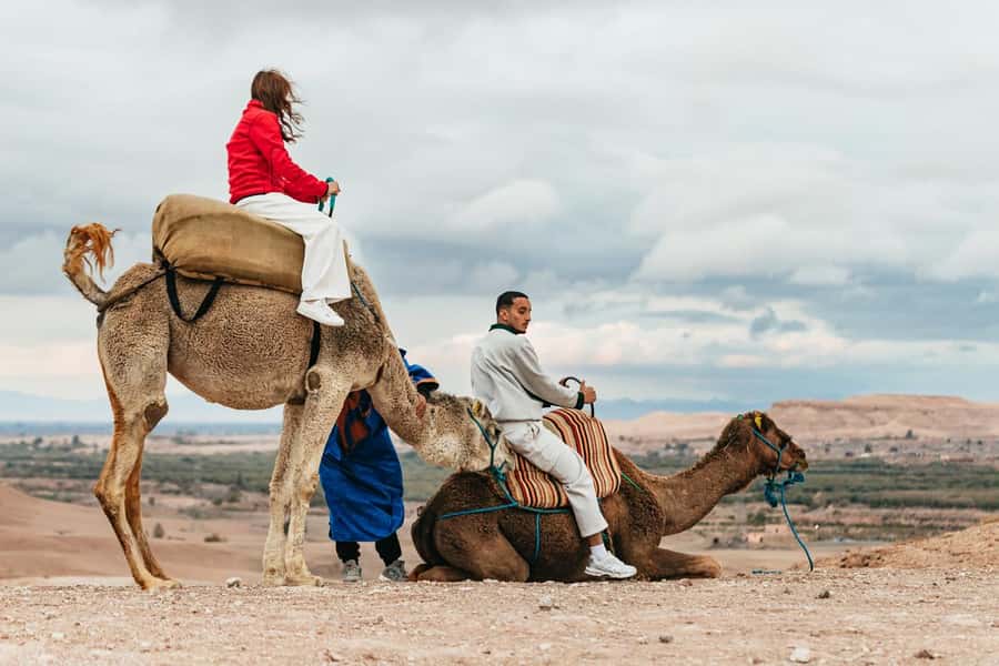 Marrakech: Agafay Desert Retreat, Tent, Dinner, Show & Pool - Price and value for about $71 per person
