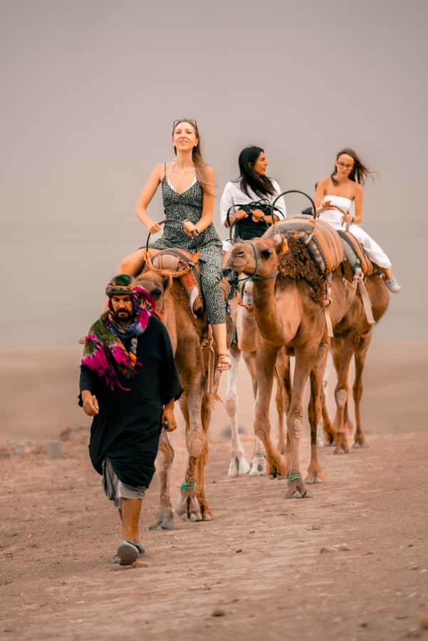 Marrakech: Agafay Desert Sunset, Camel Ride, and Dinner Show - Who should book this Agafay sunset experience