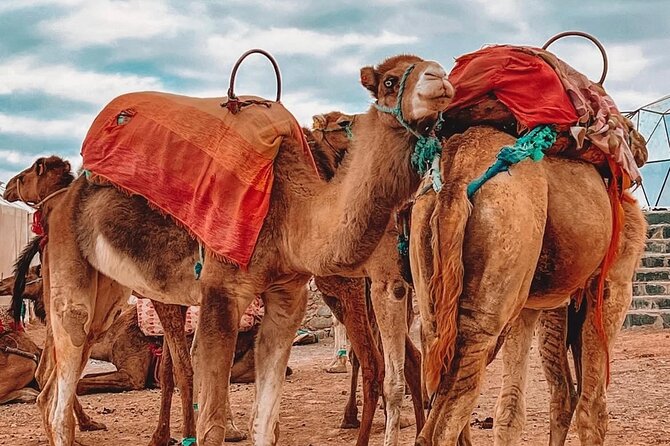 Marrakech: Agafay Desert Sunset, Camel Ride, and Dinner Show - Sunset at the camp: sweets, views, and how to dress for comfort