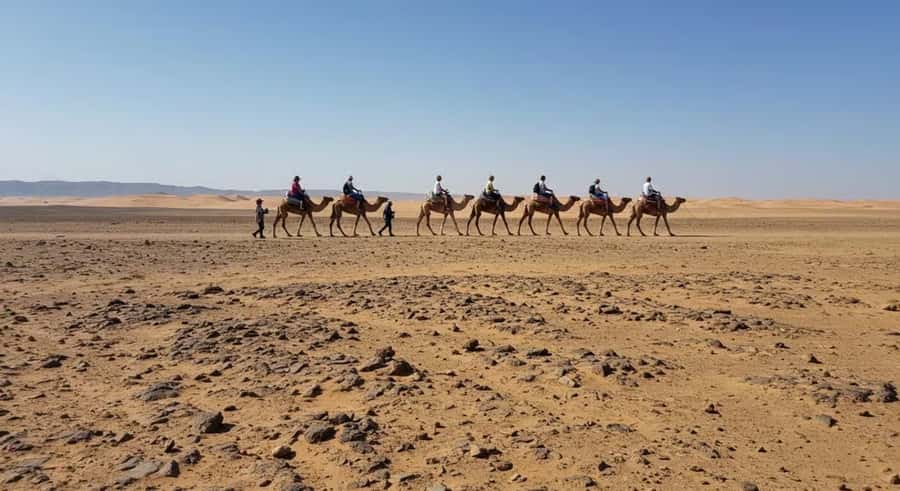Marrakech: Agafay Desert Sunset, Camel Ride, and Dinner Show - Price and value: why $20 can work if you want the whole package