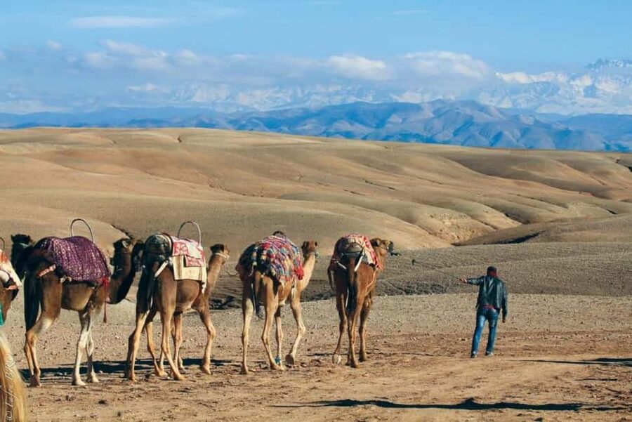 Marrakech: Agafay Desert Sunset, Camel Ride, Dinner and Show - Key highlights I’d prioritize