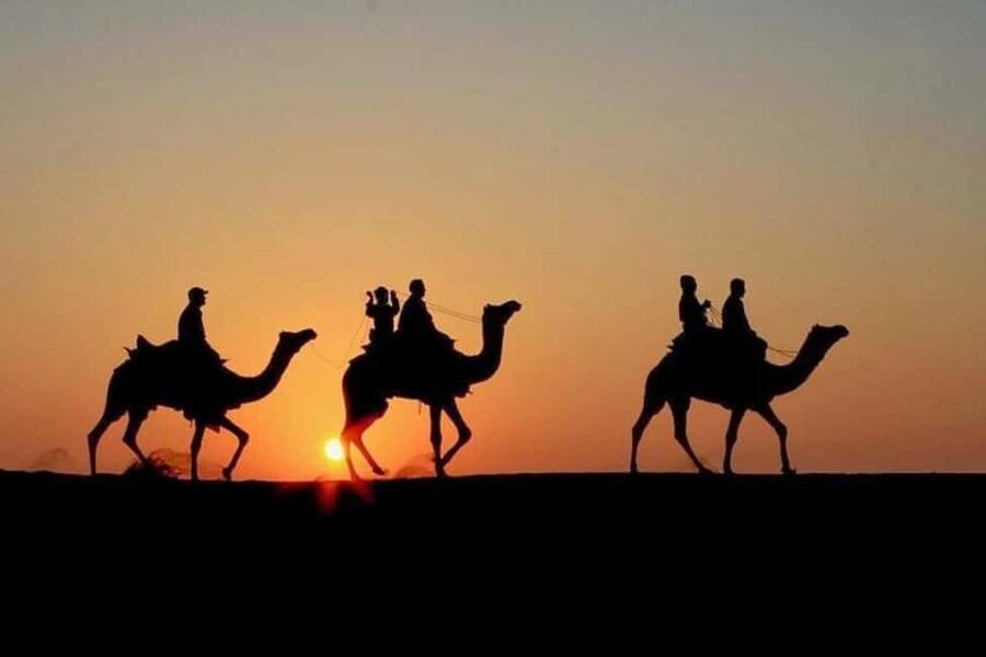 Marrakech: Agafay Desert Sunset, Camel Ride, Dinner and Show - Should You Book This Agafay Desert Sunset Evening?