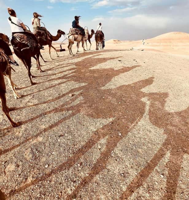 Marrakech: Agafay Desert Sunset, Camel Ride, Dinner and Show - Tips to Make the Evening Go Smoothly