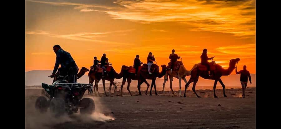 Marrakech: Agafay Dinner Show, Camel Ride, Quad, or Buggy - Camel Ride at Sunset: Short, Peaceful, and Photo-Friendly