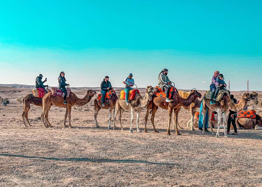 Marrakech: Agafay Dinner Show, Camel Ride, Quad, or Buggy - How to Prepare: Dust, Cold Nights, and Comfort