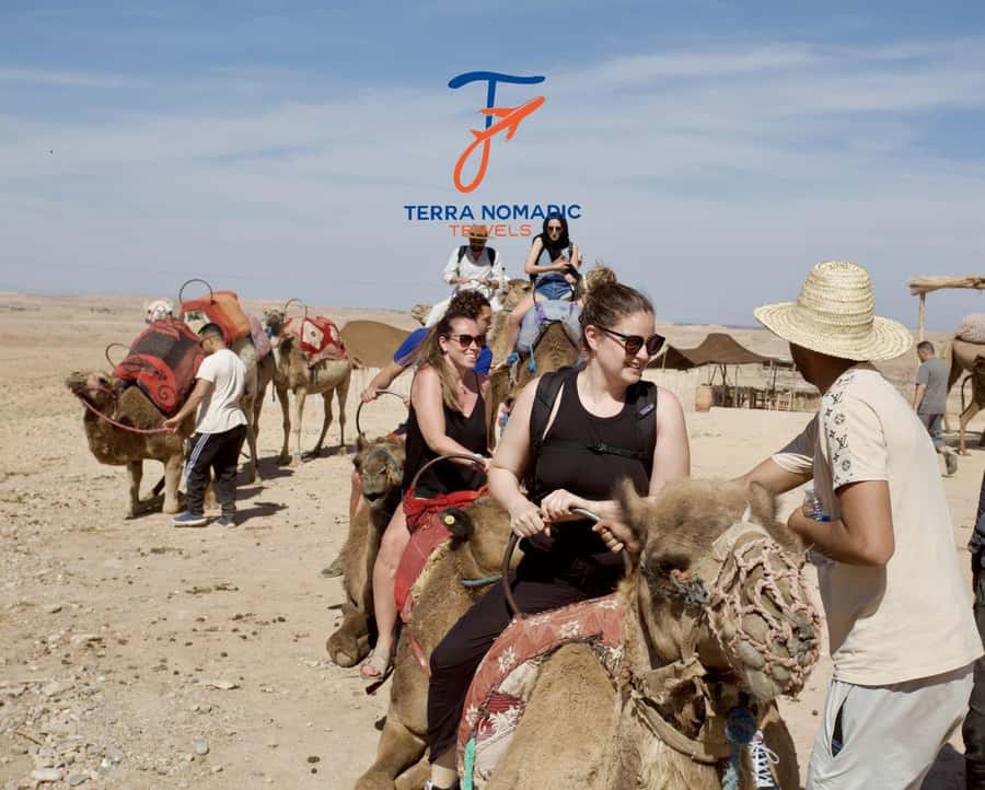 Marrakech: Agafay Dinner Show with Quad/Camel Ride and Pool - Camel ride at golden hour, plus quad biking on shared double quads