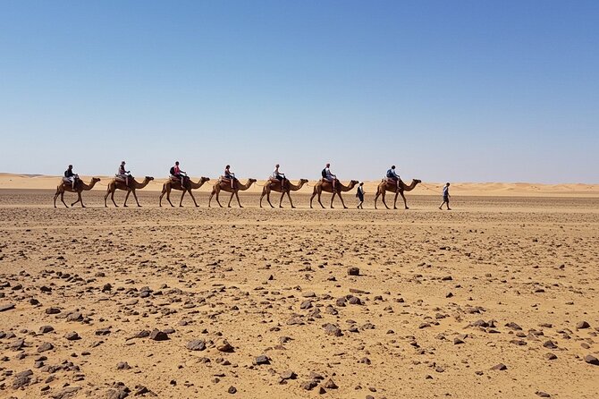 Marrakech Agfay Desert Camel Ride and Dinner Show - Practical tips so your Agafay evening feels smooth