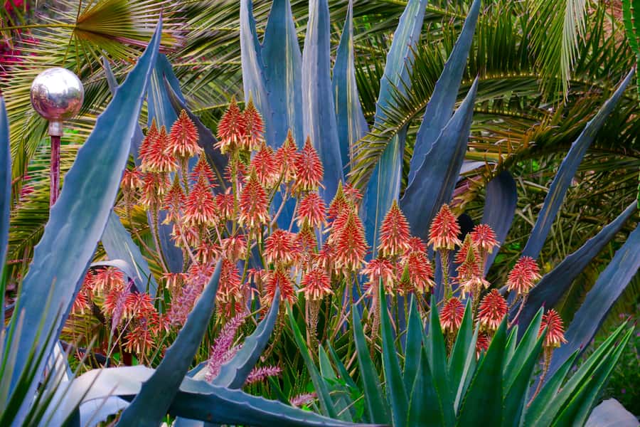 Marrakech: André Heller's ANIMA Garden Ticket - Practical expectations: what to bring, what to watch, and what to avoid