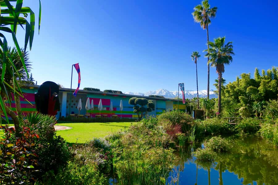 Marrakech: André Heller's ANIMA Garden Ticket - Walking the garden: shaded paths, sensory plants, and big-name art in the open