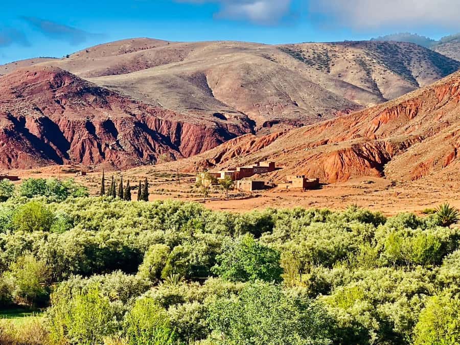 Marrakech: Atlas Mountain, Berber Villages, & Valleys Tour - Why this Marrakech Atlas Mountains day trip feels like more than a drive out