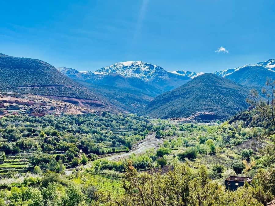 Marrakech: Atlas Mountain, Berber Villages, & Valleys Tour - The village route: waterfalls and hamlets like Ait Mizan and Targa Imoula
