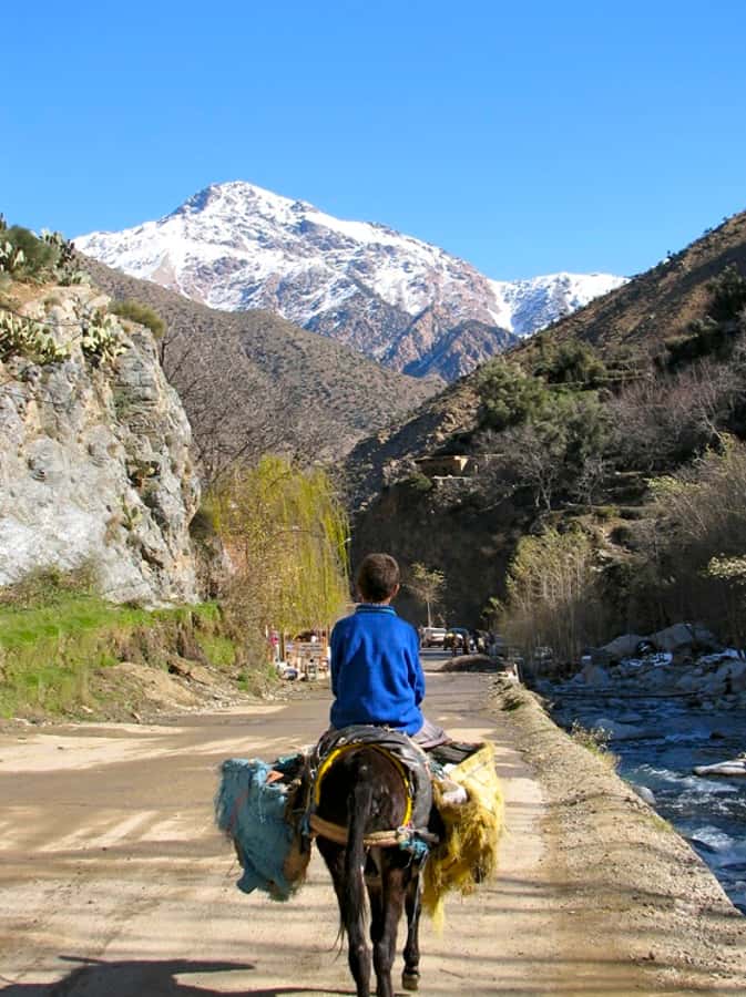 Marrakech: Atlas Mountains and Desert Safari with Lunch - Price and Value at $112 Per Person