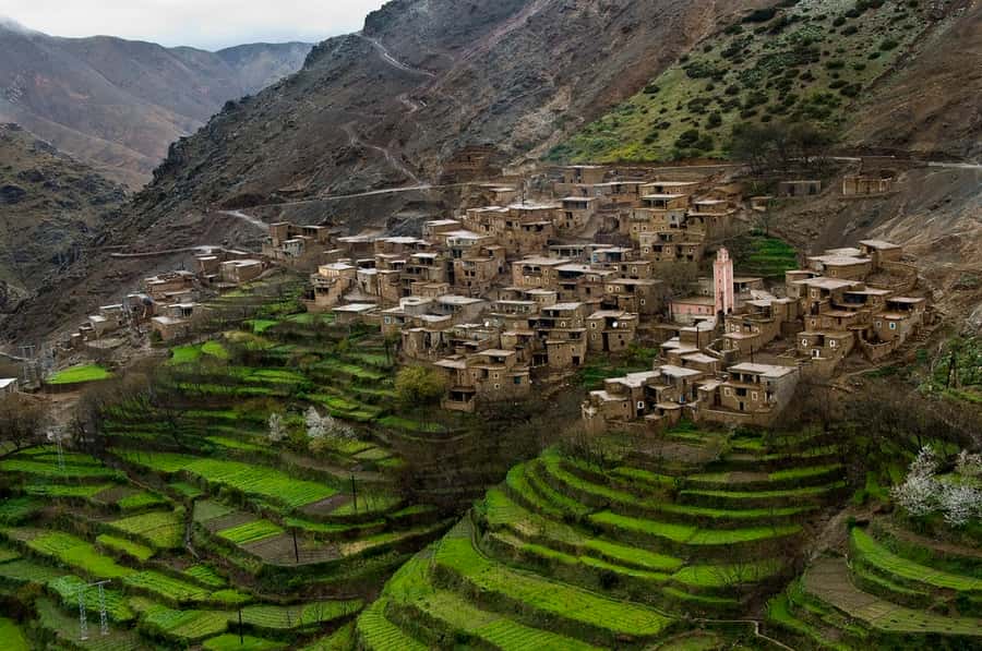 Marrakech: Atlas Mountains and Desert Safari with Lunch - Agafay Desert 4x4 Adventure: The Fun Part You’ll Remember