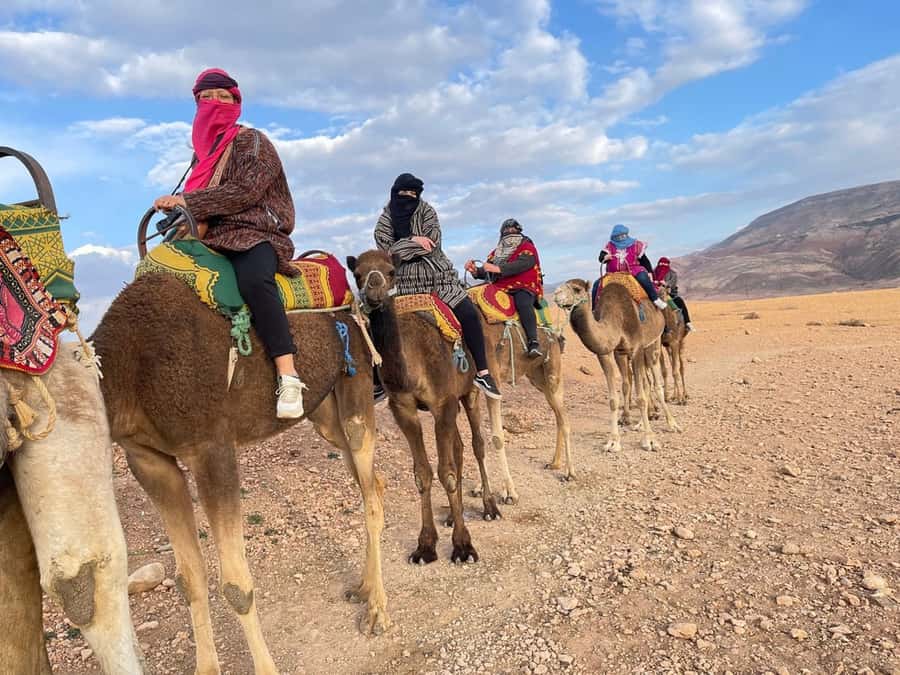 Marrakech: Atlas Mountains, Camel Ride, Waterfalls, & Lunch - Argan Oil Women’s Cooperative: More Than a Shop Stop