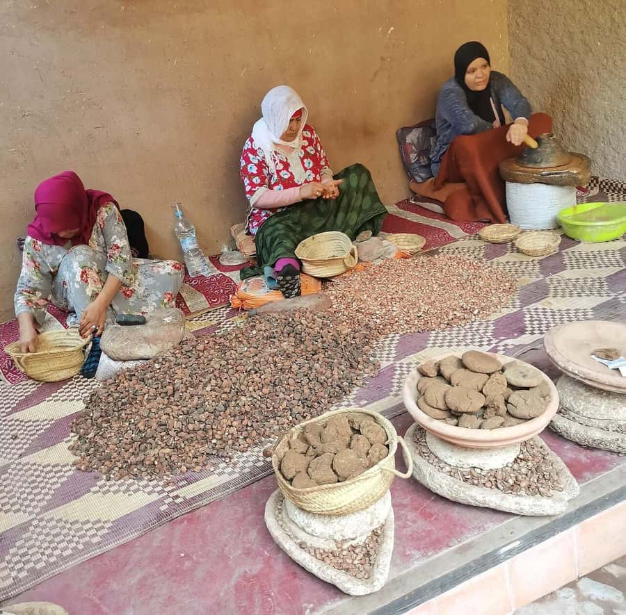 Marrakech: Atlas Mountains, Ourika Valley, Waterfall & Guide - The Atlas Drive: Comfort, Timing, and First Views