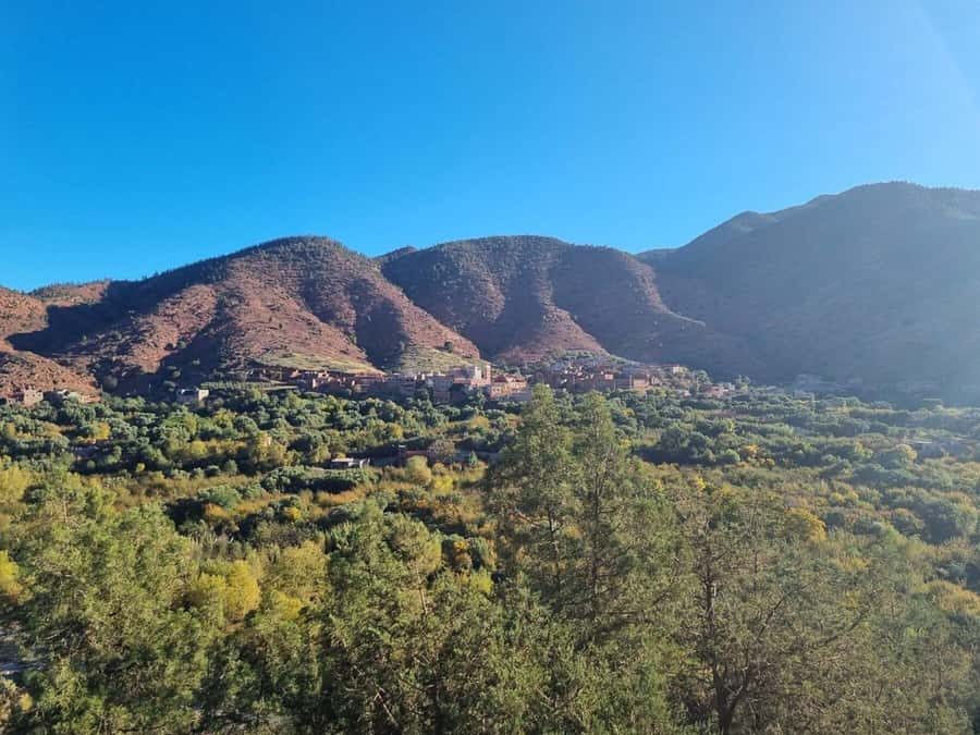 Marrakech: Atlas Mountains, Ourika Valley, Waterfall & Lunch - How the best guides make this day feel easy