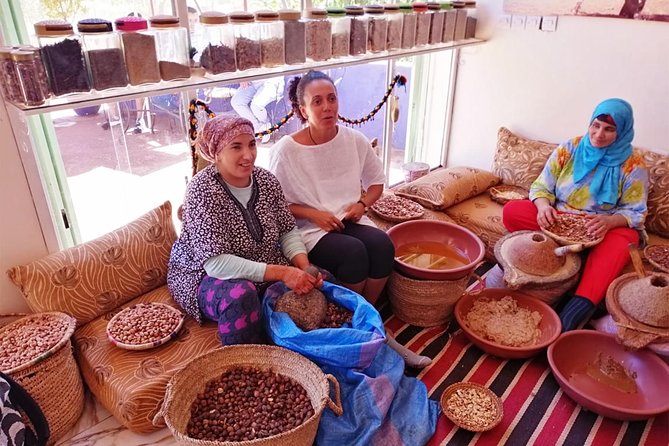 Marrakech: Atlas Mountains, Ourika Valley, Waterfall with Guide - Price and value, why $17.38 can work (and when it might not)