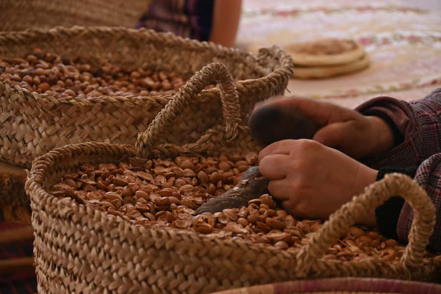 Marrakech: Atlas Mountains & Ourika Waterfalls, Lunch+Guide - What to Bring for a Comfortable Day (and Better Photos)