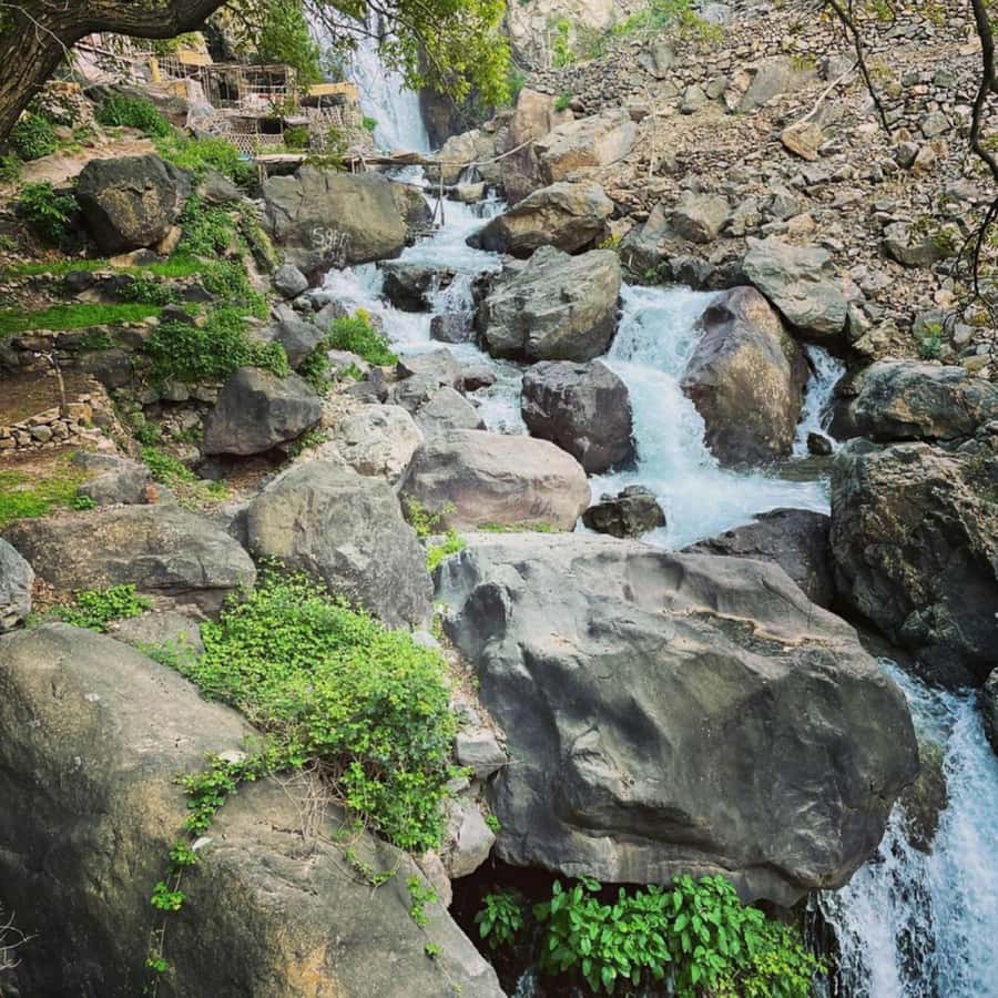 Marrakech: Atlas Mountains & Valleys Waterfall Hike w/ Lunch - Lunch at a family guesthouse: tagine, mint tea, and the mountain view