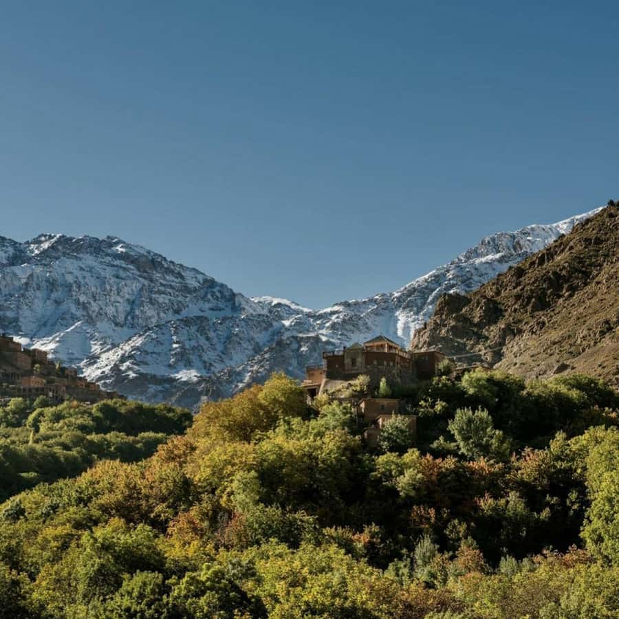 Marrakech: Atlas Mountains & Valleys Waterfall Hike w/ Lunch - Women’s argan oil cooperative: seeing the work behind the bottle