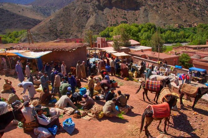 Marrakech: Atlas Mountains & Villages, Waterfalls, Camel Ride - Naqab Waterfall and the Ourika Valley drive back