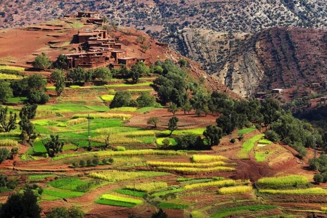 Marrakech: Atlas Mountains & Villages, Waterfalls, Camel Ride - Tips to make your Atlas day run smoother