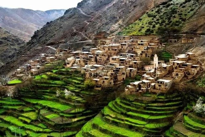 Marrakech: Atlas Mountains & Villages, Waterfalls, Camel Ride - High Atlas Mountains camel ride and the argan oil cooperative stop